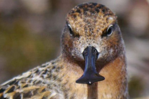 Wanese: lifestyle, фото та відео cool Wanese: lifestyle, фото та відео cool